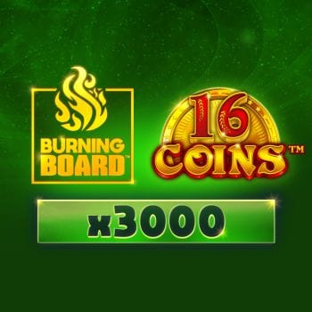 16 Coins™ Burning Board™ screenshot